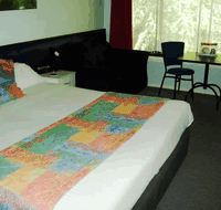 Poinciana Motel - Taree Accommodation