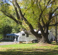 Tumbarumba Creek Caravan Park - Taree Accommodation