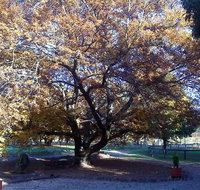 Hillview Oak Bed and Breakfast - Taree Accommodation