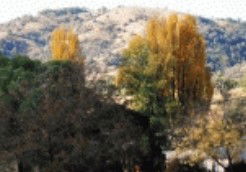 Nundle NSW Taree Accommodation