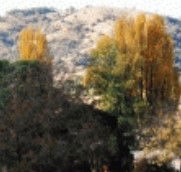 Birches Bed and Breakfast at Nundle - Taree Accommodation