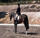 Apptrak Stud - Taree Accommodation