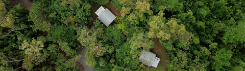 Rainforest Ranch - Taree Accommodation 5