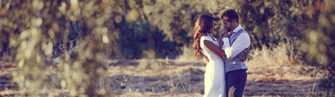 Rainforest Ranch - Taree Accommodation 7