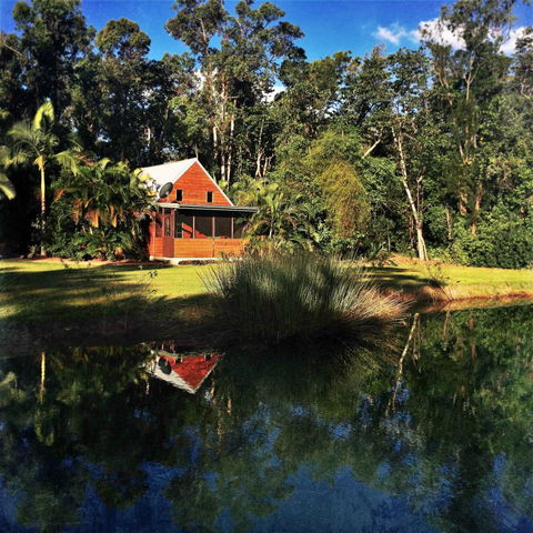 Rainforest Ranch - Taree Accommodation 8