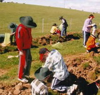 Banderra B and B Farmstay - Taree Accommodation