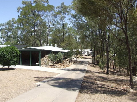 Sapphire Caravan Park - Taree Accommodation 1