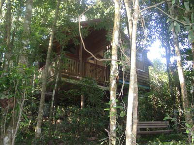 Adjinbilly Rainforest Retreat Cabins - Taree Accommodation 0