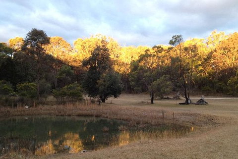 Possums Hollow And Hooters Hut - Taree Accommodation 1