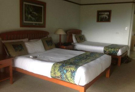 OReillys Rainforest Retreat - Taree Accommodation 5