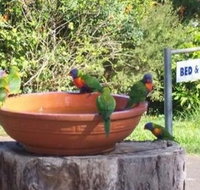 Lamb Island Bed and Breakfast - Taree Accommodation