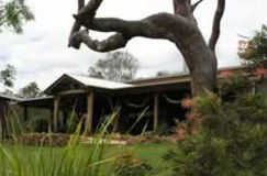 Mount Byron QLD Taree Accommodation