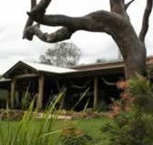 The Hollow Log Country Retreat - Taree Accommodation