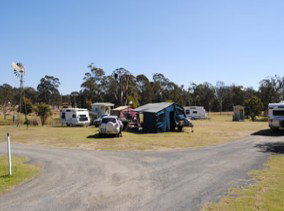 Crows Nest Caravan Park - Taree Accommodation 2