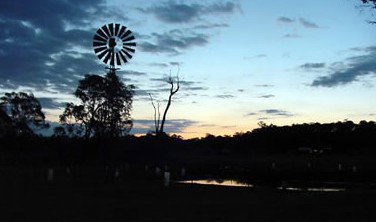 Crows Nest Caravan Park - Taree Accommodation 5