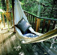 Narrows Escape Rainforest Retreat - Taree Accommodation