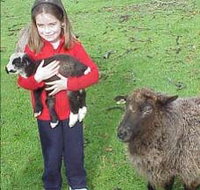 Cinnamon Coloureds Farmstay - Taree Accommodation