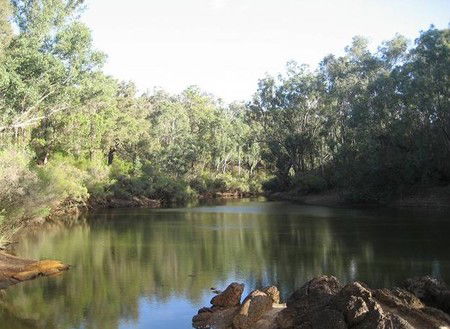 Nannup River Cottages - Taree Accommodation 4