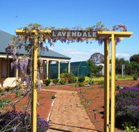 Lavendale Farmstay and Cottages - Taree Accommodation