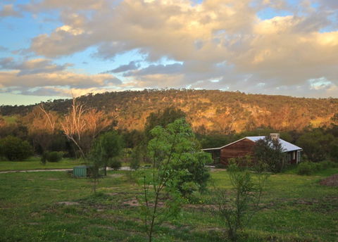 Lavendale Farmstay And Cottages - Taree Accommodation 4