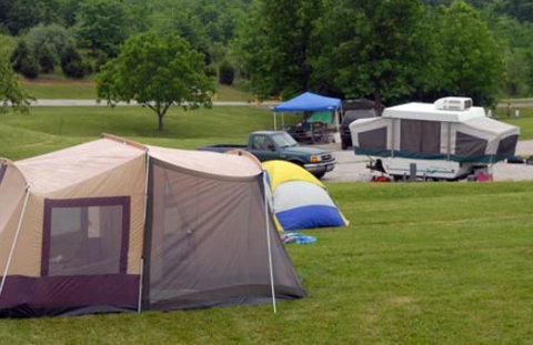 Capella Van Park - Taree Accommodation 1