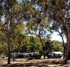Barracrab Caravan Park - Taree Accommodation