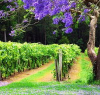 Bago Vineyards - Taree Accommodation