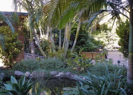 SMART MOTELS BERT HINKLER - Taree Accommodation 3