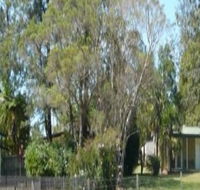 Nimbin Backpackers at Grannys Farm - Taree Accommodation