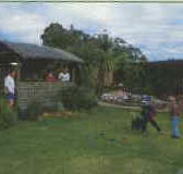 Tambo Lodge - Taree Accommodation