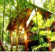The Canopy Treehouses - Taree Accommodation
