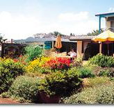 Best Western Applegum Inn Motel - Toowoomba - Taree Accommodation