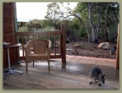 Kangaroo Island Wilderness Resort - Taree Accommodation 1
