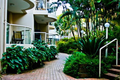 Miami Beachside Apartments - Taree Accommodation 9