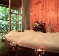 Tree Houses Of Montville - Taree Accommodation