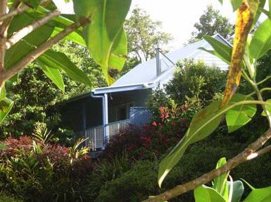 Clouds Of Montville Mountain Resort Motel - Taree Accommodation 3