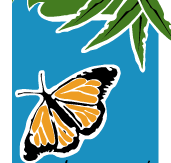 Wanderers Retreat - Taree Accommodation