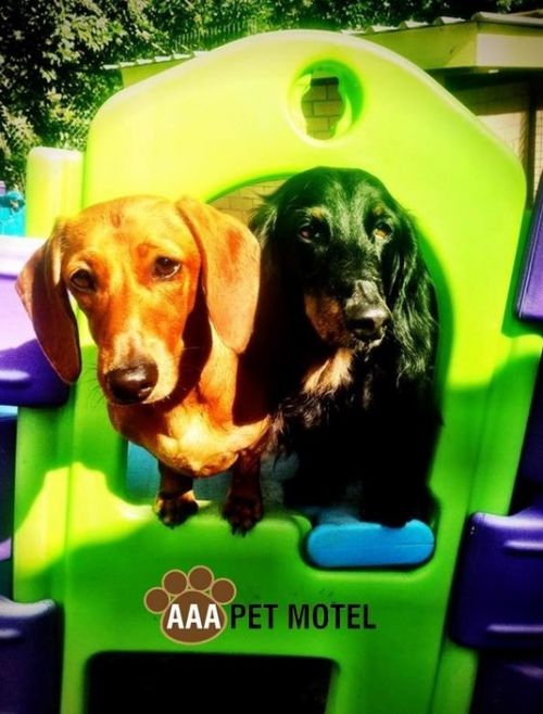 Mudgeeraba QLD Taree Accommodation