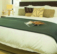 Sea Temple Resort  Spa - Taree Accommodation