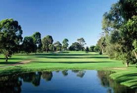 Camden Valley Country Club - Taree Accommodation 1