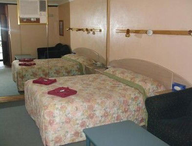 Elsinor Motor Lodge - Taree Accommodation 3