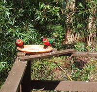Tree Tops - Taree Accommodation