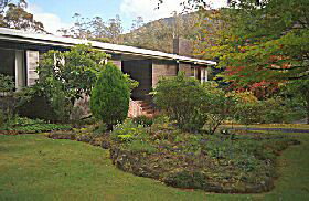 Fern Tree TAS Taree Accommodation