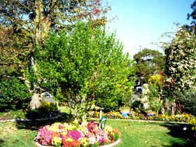 Jolly Swagman Caravan Park - Taree Accommodation 0