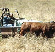 Bullo River Station - Taree Accommodation