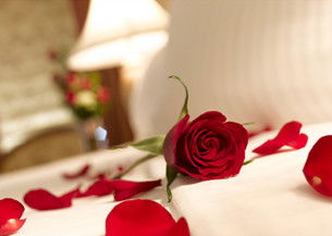 Springs Creek - Taree Accommodation 2