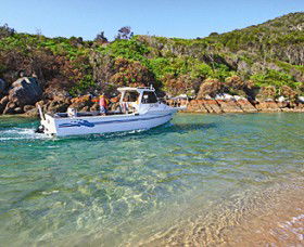 Hat Head Holiday Park - Taree Accommodation 0