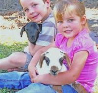 Mansfield Park - Taree Accommodation