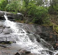 Gully Falls House - Taree Accommodation