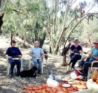 Bimbimbi And Little Hollow Farm Stay - Taree Accommodation